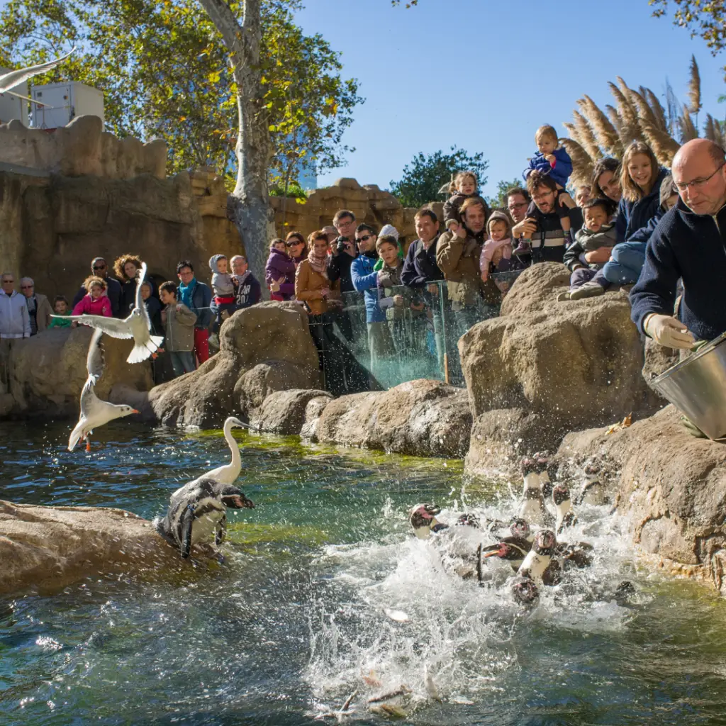 Emirates Park Zoo